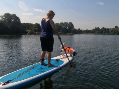 SUPinGent DOG SUP sessies : SUP met je hond: het leukste dagje op het water! Ben je op zoek naar een unieke en onvergetelijke ervaring met je trouwe viervoeter? Ga dan SUPpen met je hond bij SUPinGent!